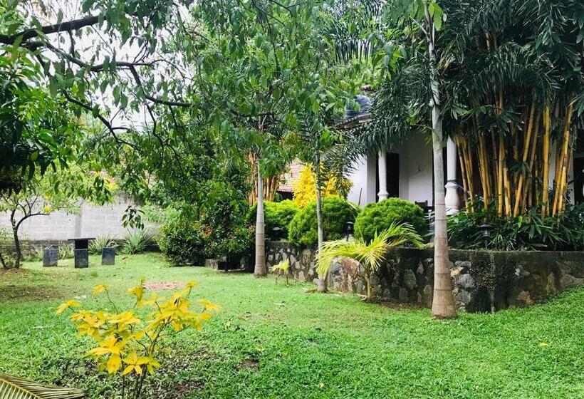 Bed and Breakfast Eco Garden