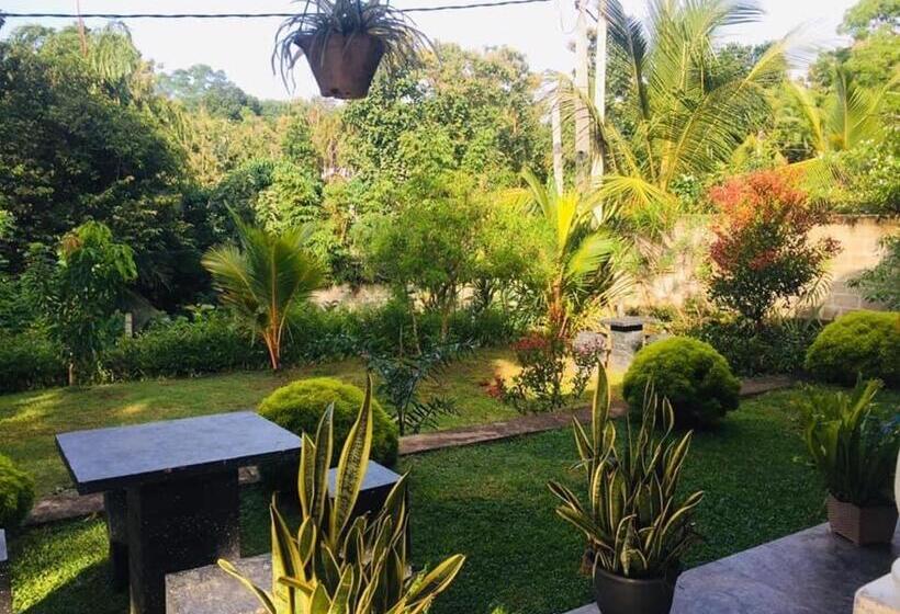 Bed and Breakfast Eco Garden