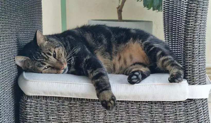 ベッドアンドブレックファースト La Vigneronne De Gigean