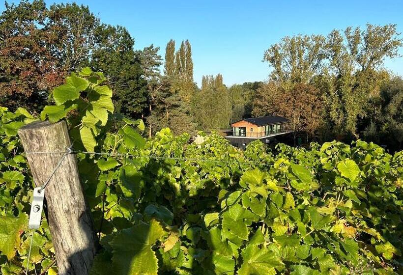 Отель Cabanes Avec Jacuzzi Les Pieds Dans La Vignes
