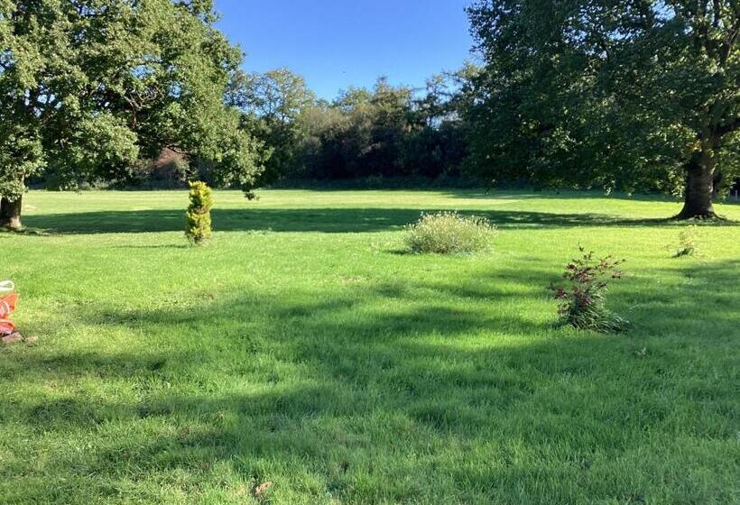 住宿加早餐  Barn 6