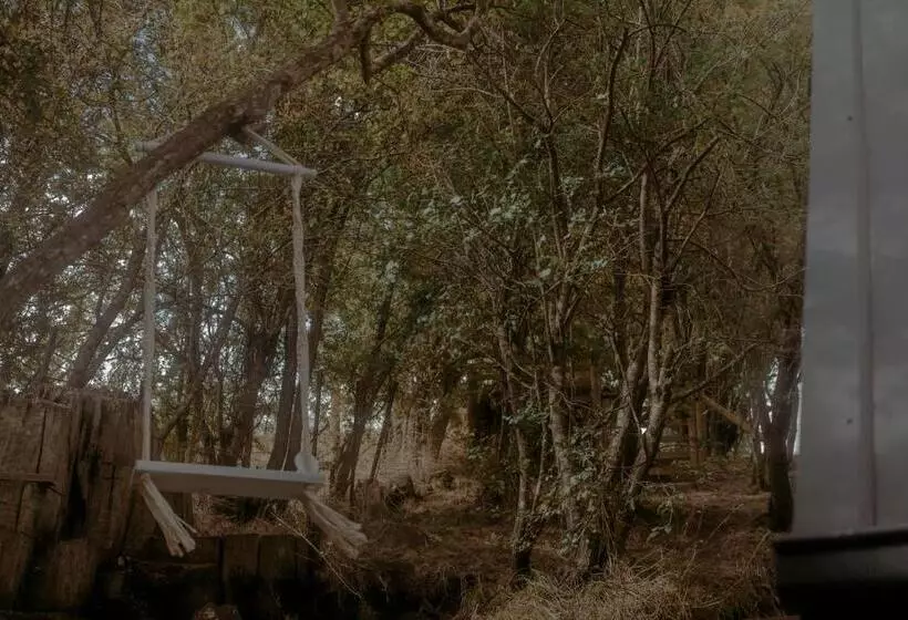 ベッドアンドブレックファースト The Eco Cabin Tasmania