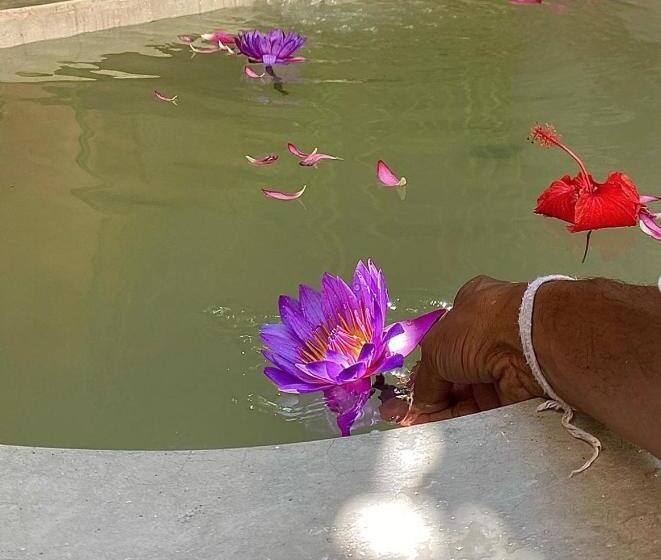 فندق Maison Samara