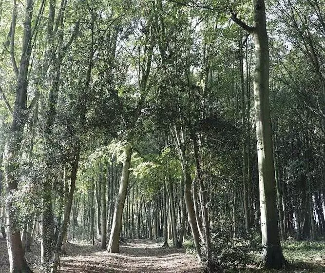 Majatalo Le Domaine Saint Ange