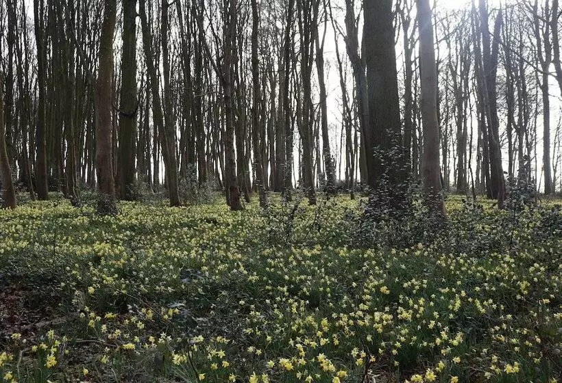 Majatalo Le Domaine Saint Ange