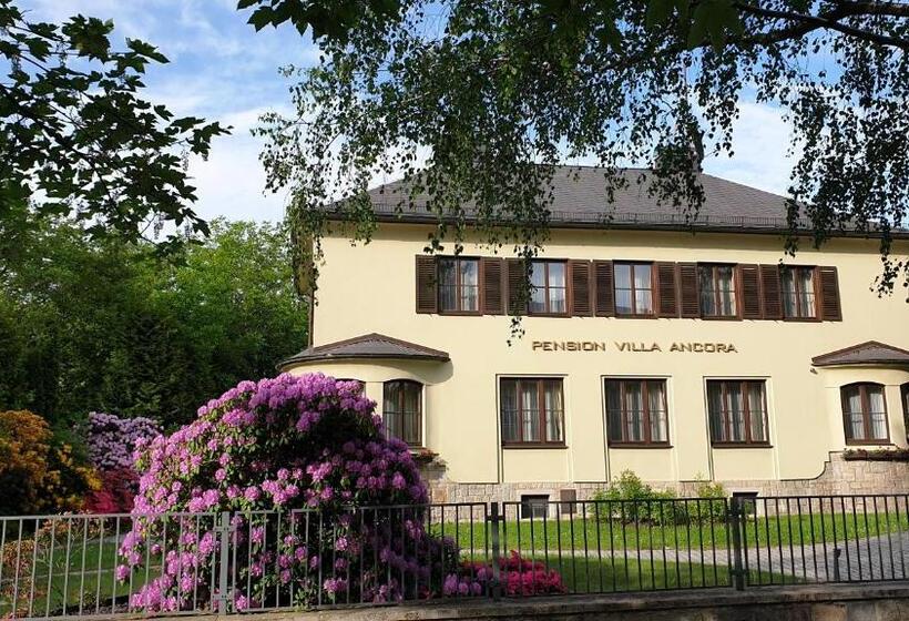 Пансион Penzion Villa Ancora