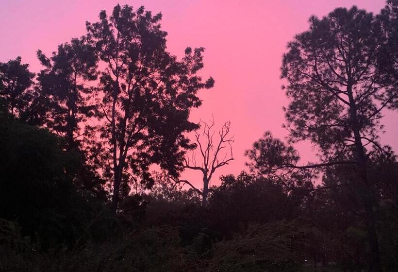 Pensjonat Tamborine Guest House