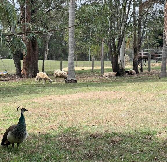 Pensjonat Tamborine Guest House