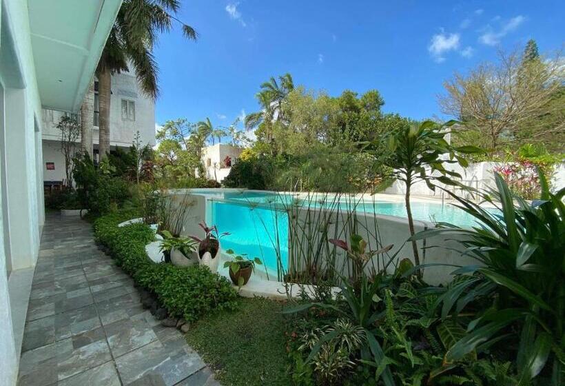 بنسيون Vie La Bella