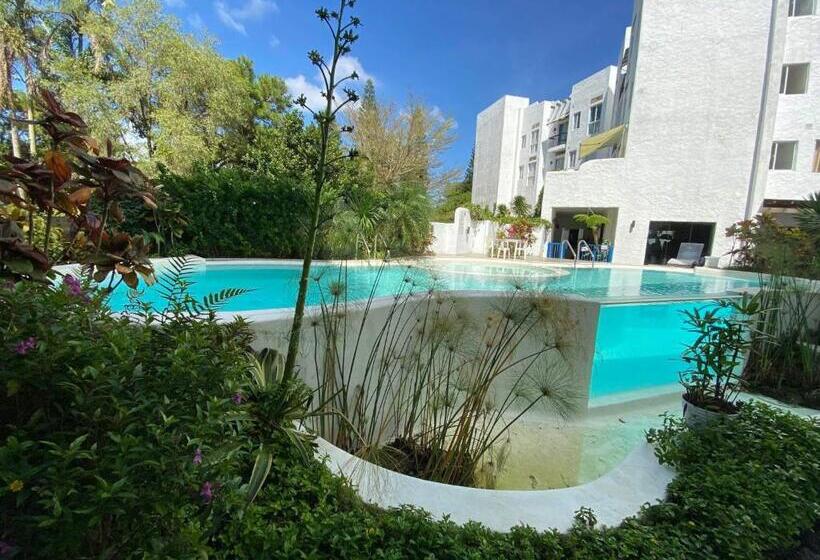 بنسيون Vie La Bella