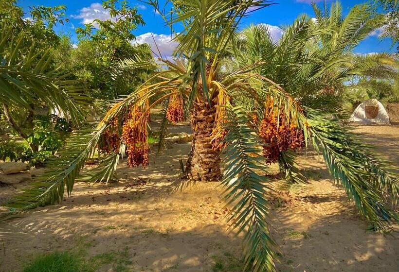 هاستل Oasis Hot Spring