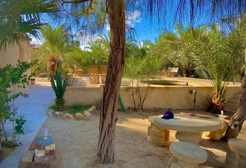 هاستل Oasis Hot Spring