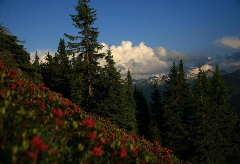 مبيت وإفطار Appartement Zint