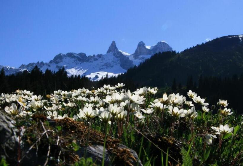 مبيت وإفطار Appartement Zint