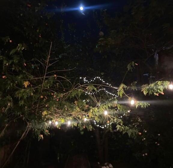 Bed and Breakfast Campus Residencias