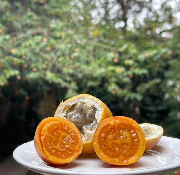 Bed and Breakfast Campus Residencias