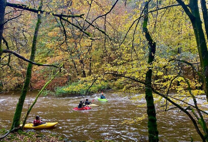 Bed and Breakfast La Maison Attila En Ardennes