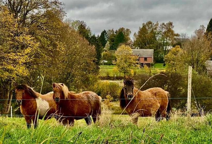 Bed and Breakfast La Maison Attila En Ardennes