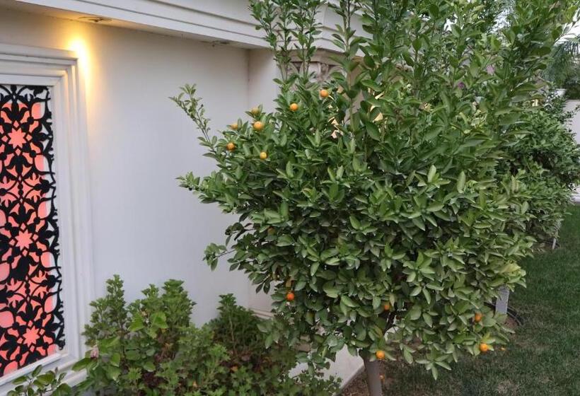 Diamond Premium Otel&spa Center