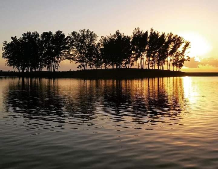 هتل Hôtel Le Pangalana