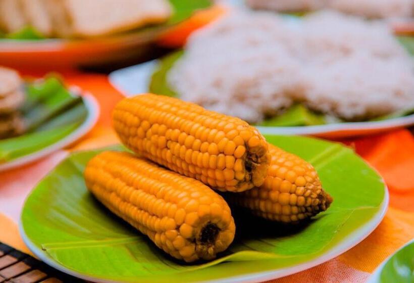 酒店 Sakura Cherry Blossom Cabanas