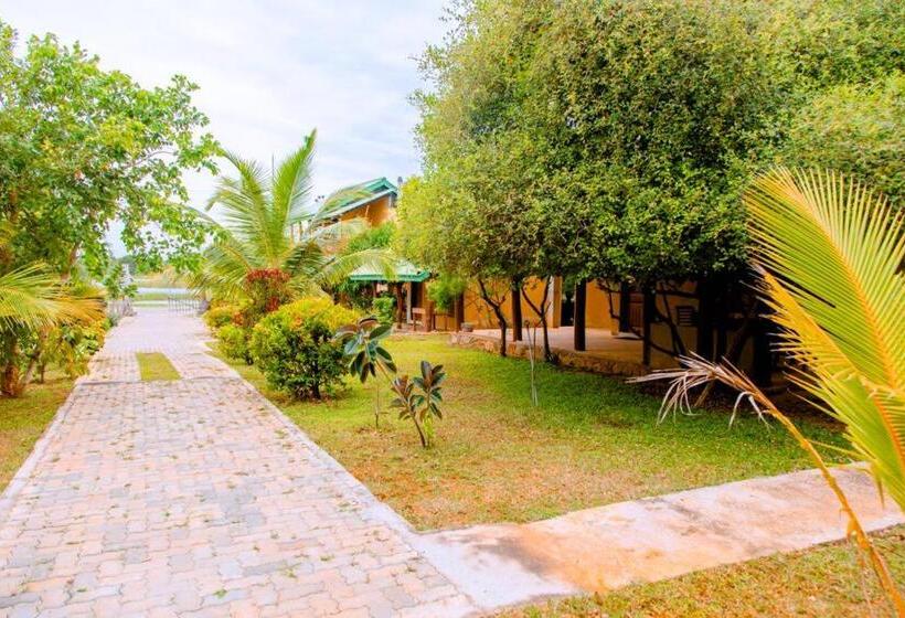 酒店 Sakura Cherry Blossom Cabanas