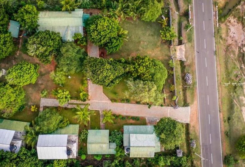 酒店 Sakura Cherry Blossom Cabanas