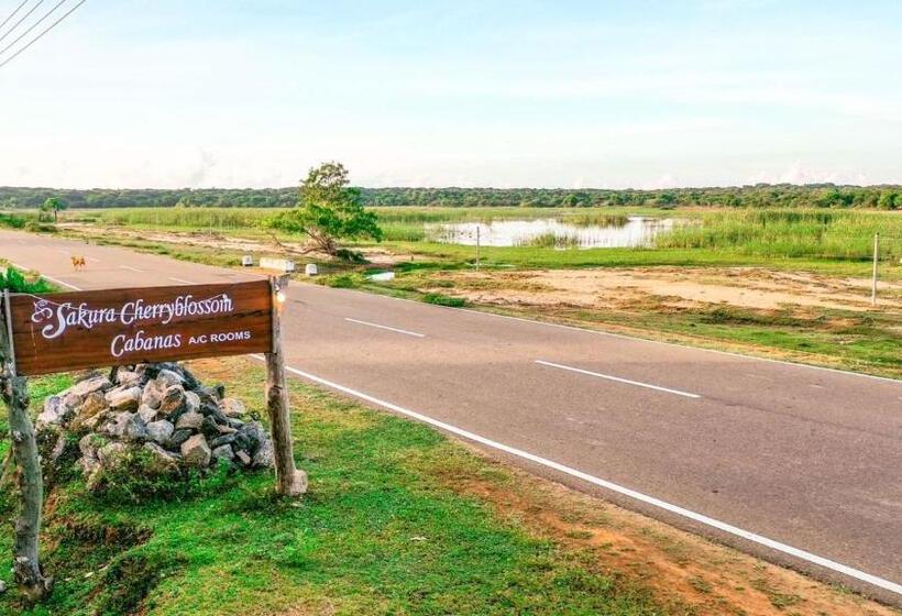 酒店 Sakura Cherry Blossom Cabanas