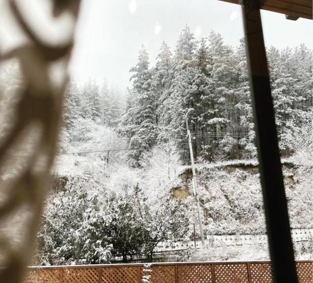 هتل Villa Alexander Dilijan