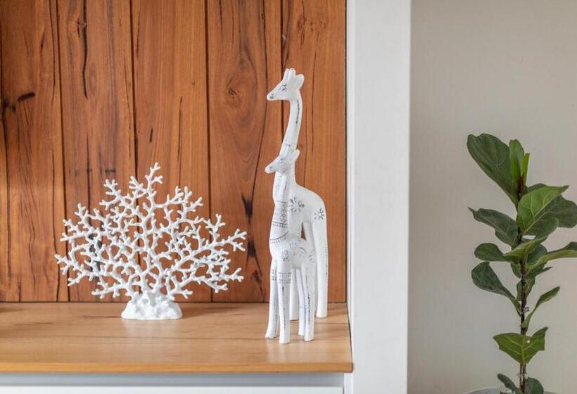 بنسيون Coastal Soul