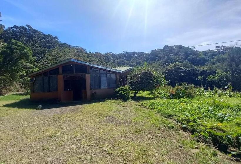 膳宿费 Finca Pantera