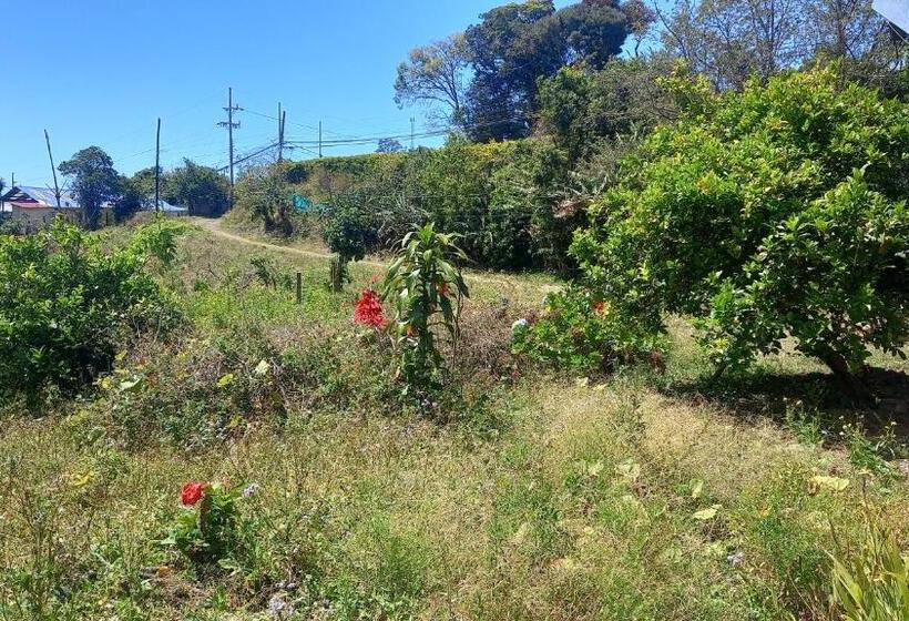 膳宿费 Finca Pantera