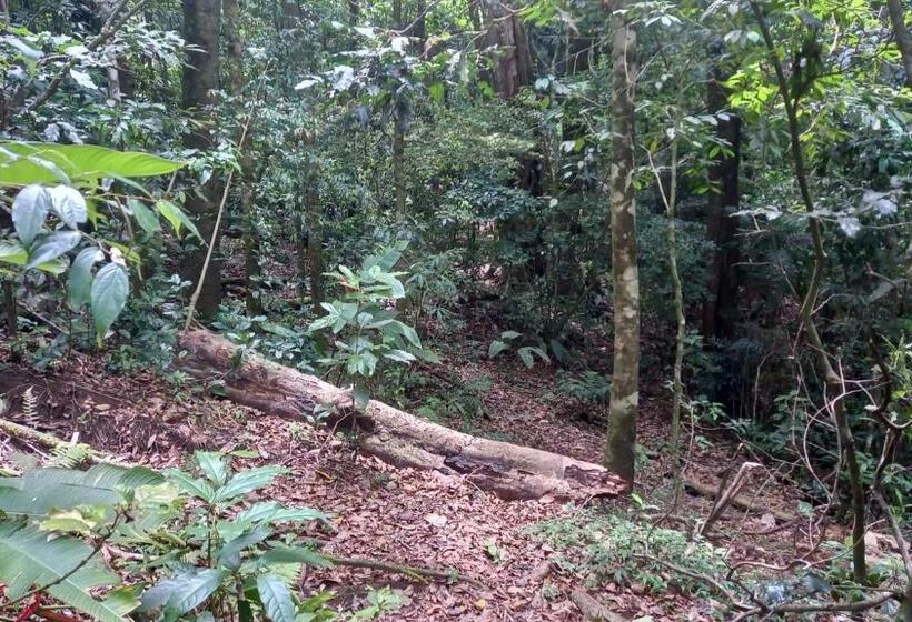 膳宿费 Finca Pantera