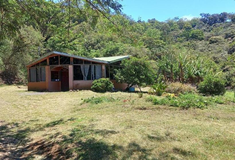 膳宿费 Finca Pantera