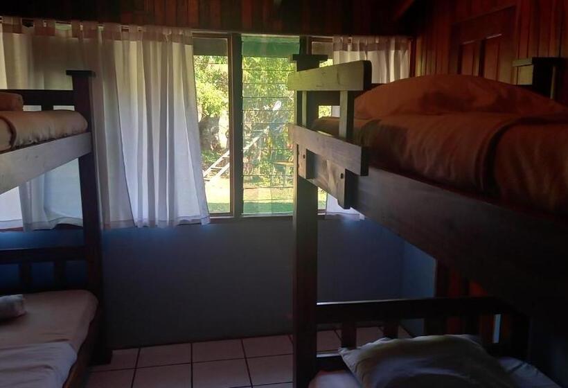 膳宿费 Finca Pantera