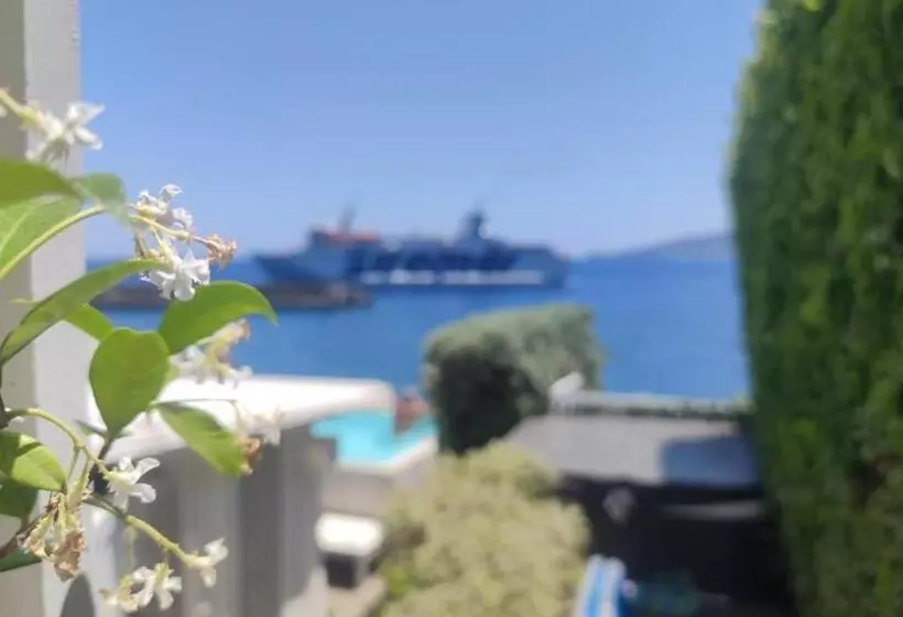 ペンション Halgoduria