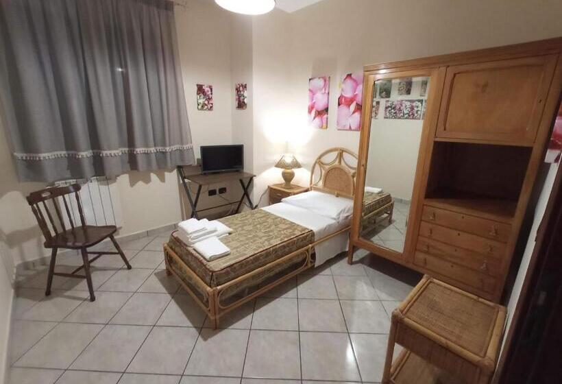 膳宿费 I Fiori Di Amina Le Begonie