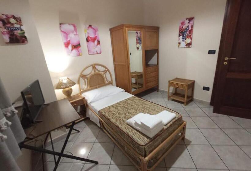 膳宿费 I Fiori Di Amina Le Begonie