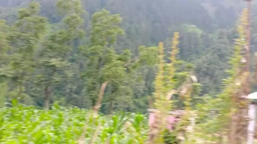 ペンション Oyo Home Jia Lal Homestay