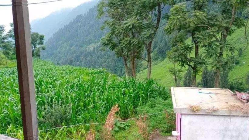 ペンション Oyo Home Jia Lal Homestay