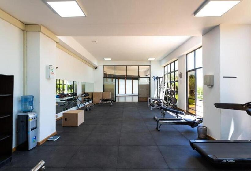 تختخواب و صبحانه Heartlands Garden