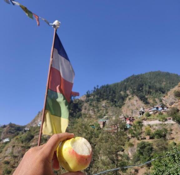 Bed and Breakfast Satkar Homestay And Camping Service