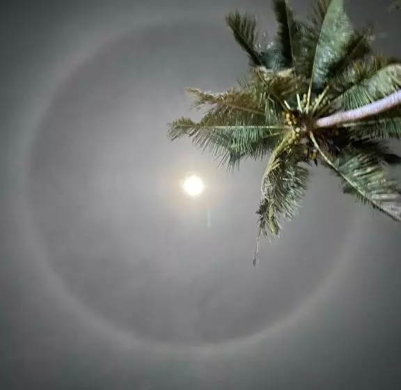 Aamiaismajoitus (B&B) Tripsea Beach Villa