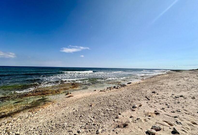 Casa Xila By Gekkot Travel