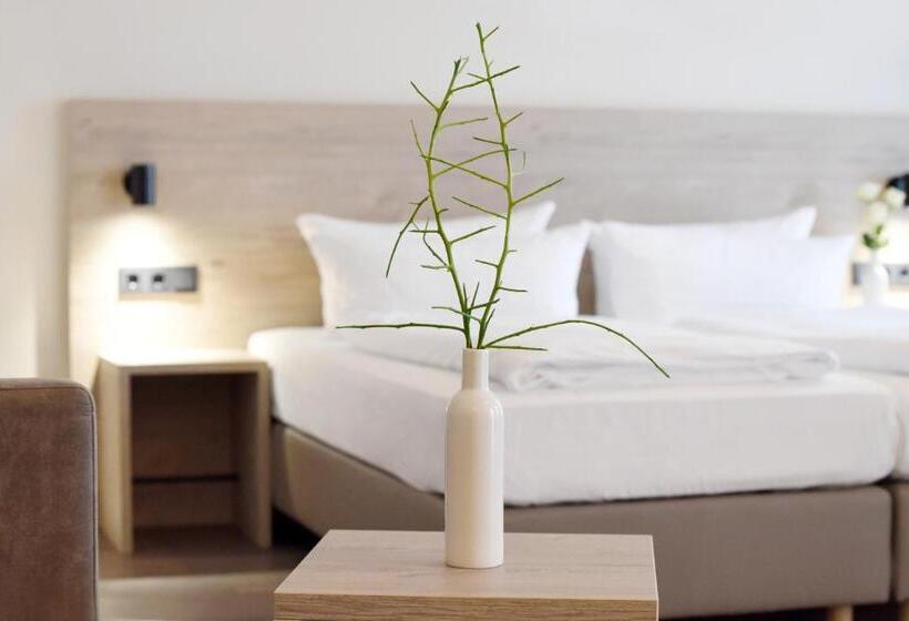 Dimas Hotel Ettenheim   Rust