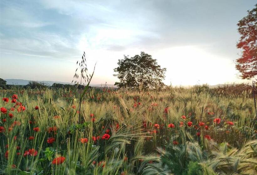 בית מלון כפרי Agriturismo La Dependance