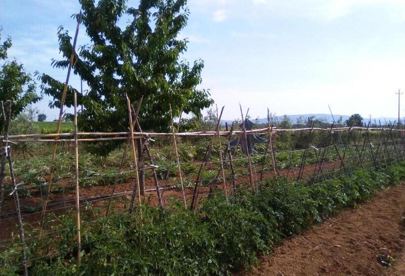 בית מלון כפרי Agriturismo La Dependance