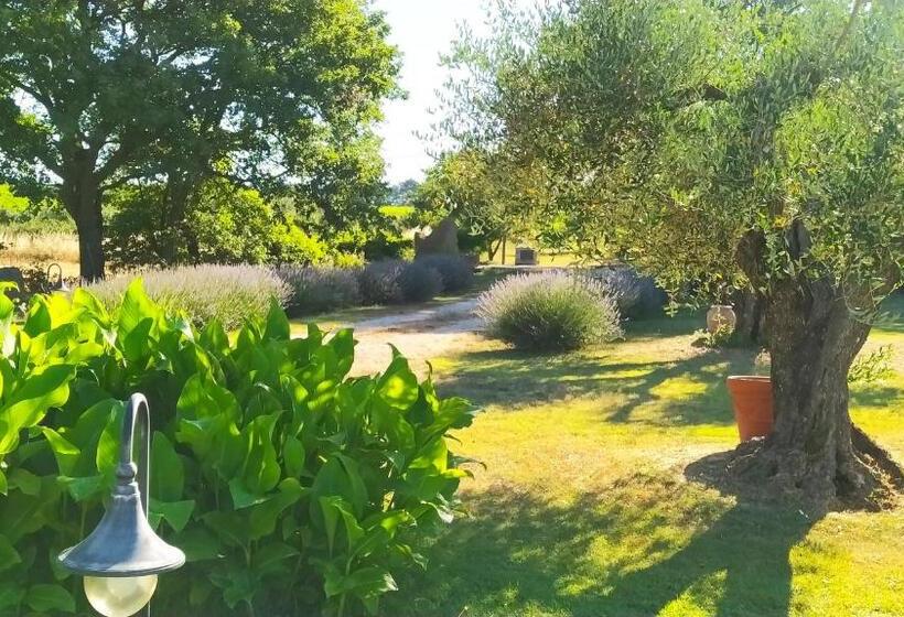 בית מלון כפרי Agriturismo La Dependance