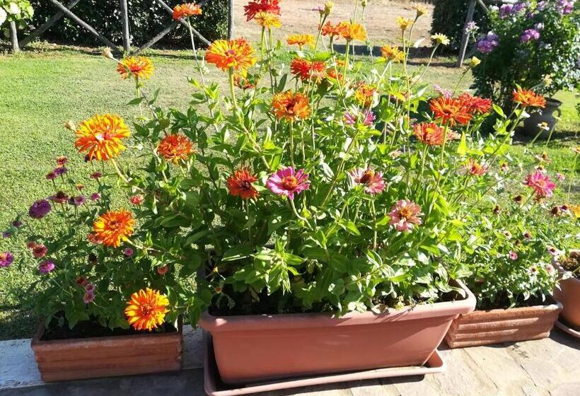 בית מלון כפרי Agriturismo La Dependance