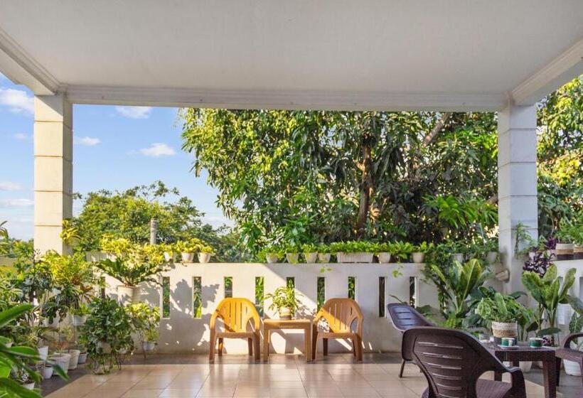 Hotel Capital O 93279 Asyoka Penginapan Pasutri